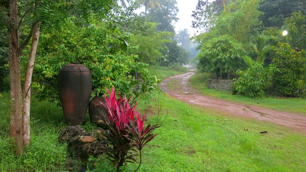 Thrissur Clayfingers Art Cottage חדר תמונה